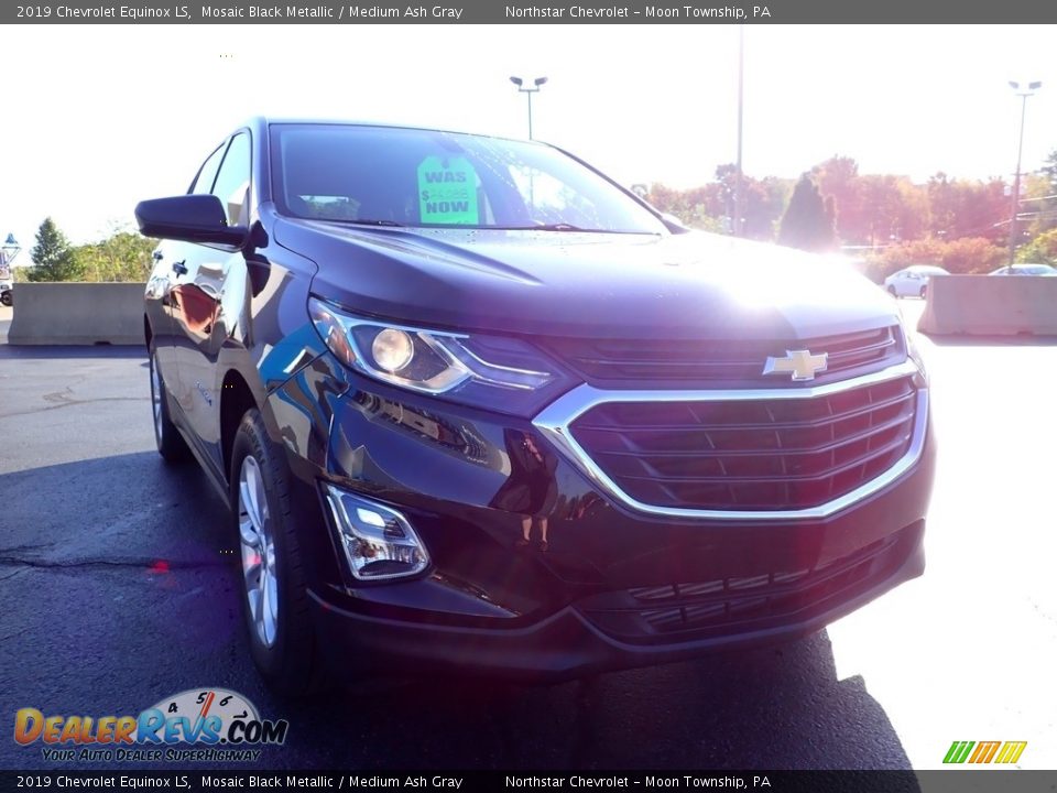 2019 Chevrolet Equinox LS Mosaic Black Metallic / Medium Ash Gray Photo #12