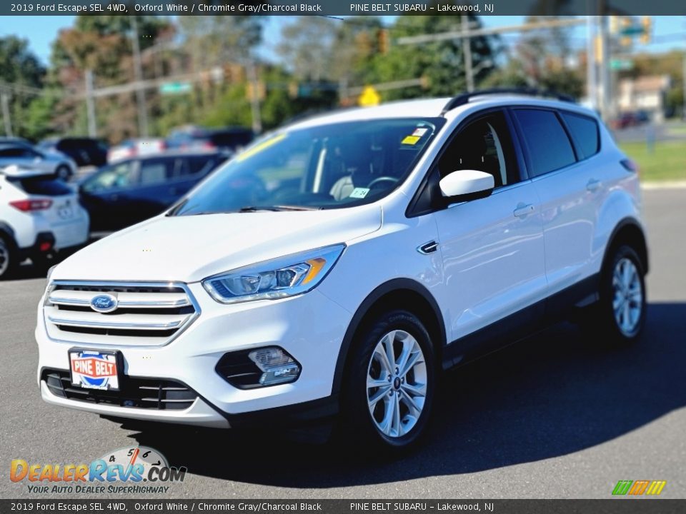 2019 Ford Escape SEL 4WD Oxford White / Chromite Gray/Charcoal Black Photo #1