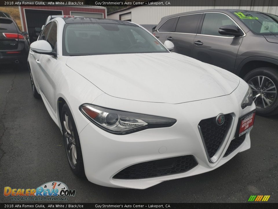 2018 Alfa Romeo Giulia Alfa White / Black/Ice Photo #1