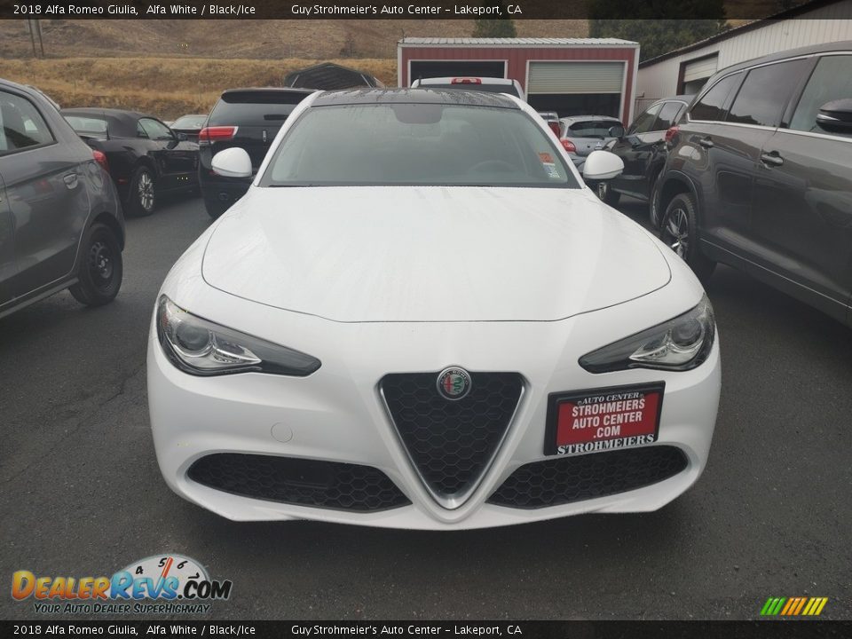 2018 Alfa Romeo Giulia Alfa White / Black/Ice Photo #2