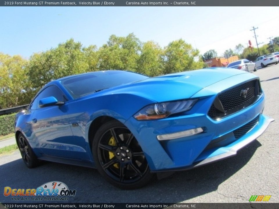 2019 Ford Mustang GT Premium Fastback Velocity Blue / Ebony Photo #1