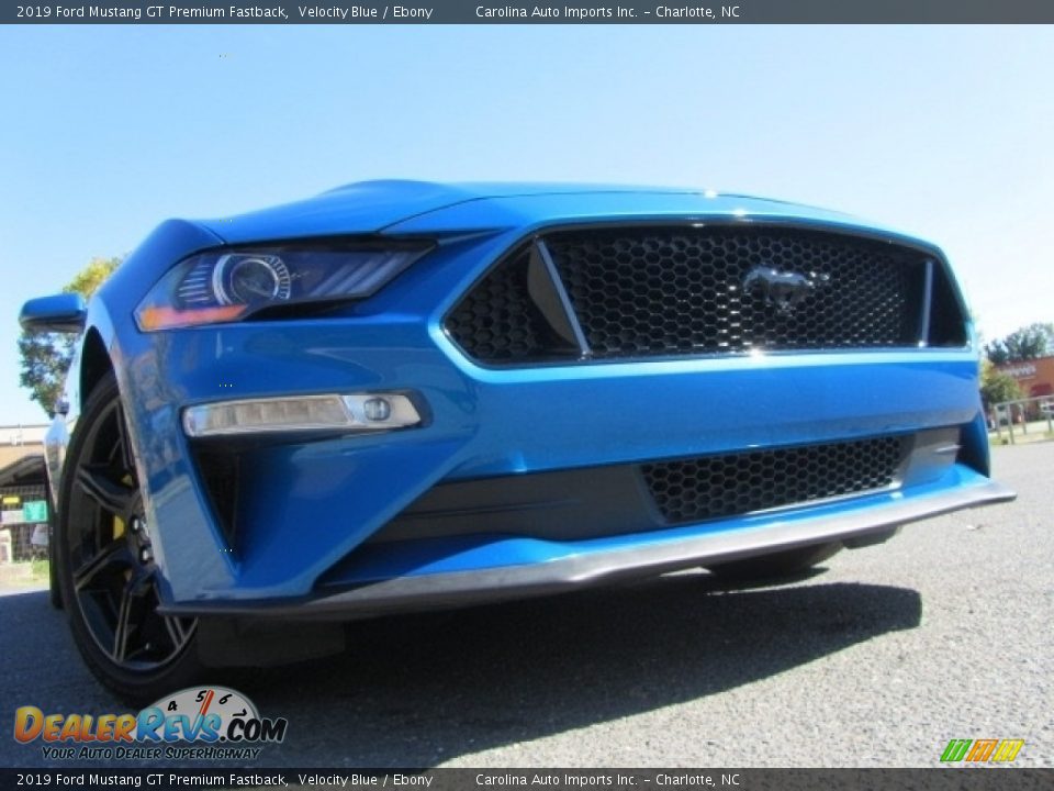 2019 Ford Mustang GT Premium Fastback Velocity Blue / Ebony Photo #2