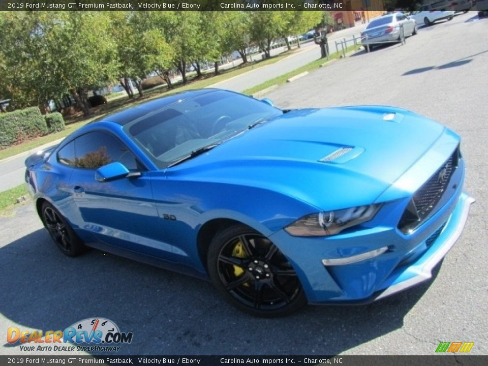 2019 Ford Mustang GT Premium Fastback Velocity Blue / Ebony Photo #3