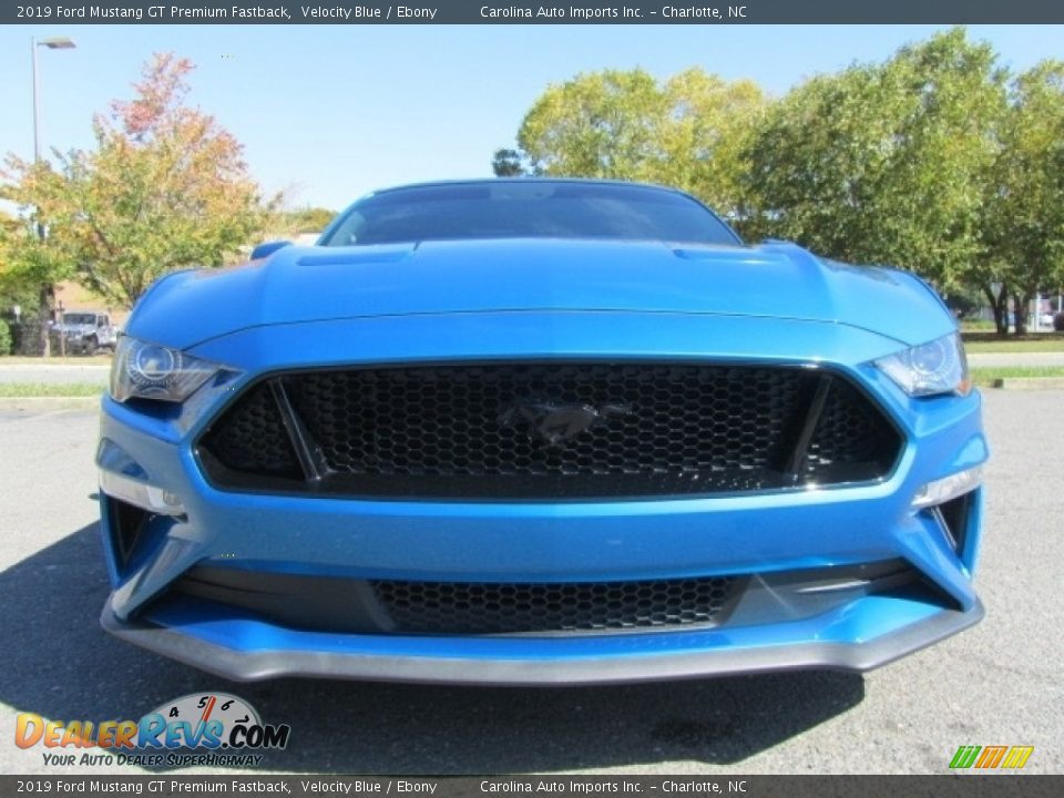 2019 Ford Mustang GT Premium Fastback Velocity Blue / Ebony Photo #4