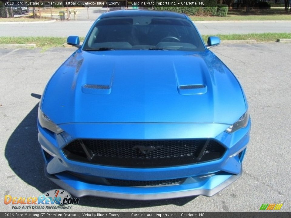 2019 Ford Mustang GT Premium Fastback Velocity Blue / Ebony Photo #5