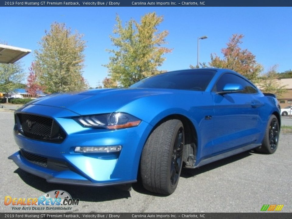 2019 Ford Mustang GT Premium Fastback Velocity Blue / Ebony Photo #6