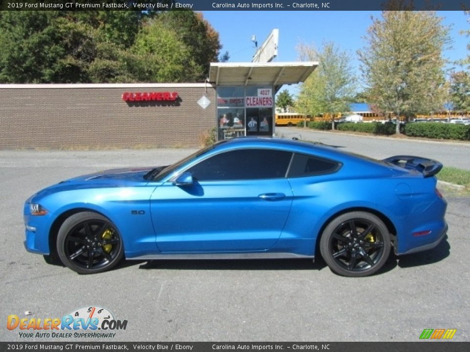 2019 Ford Mustang GT Premium Fastback Velocity Blue / Ebony Photo #7