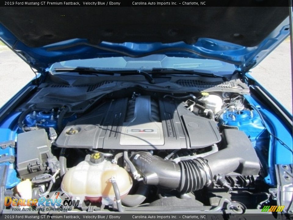 2019 Ford Mustang GT Premium Fastback Velocity Blue / Ebony Photo #25