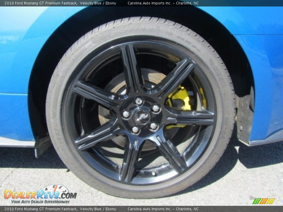 2019 Ford Mustang GT Premium Fastback Velocity Blue / Ebony Photo #26