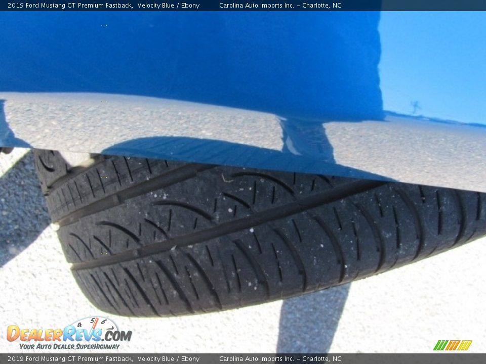 2019 Ford Mustang GT Premium Fastback Velocity Blue / Ebony Photo #27