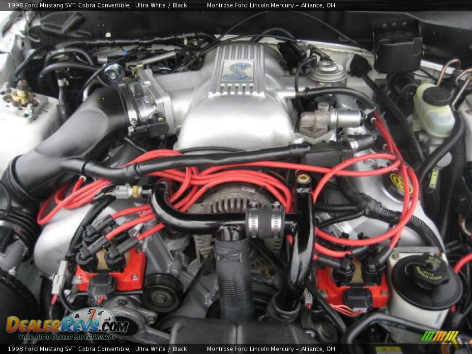 1998 Ford Mustang SVT Cobra Convertible Ultra White / Black Photo #18