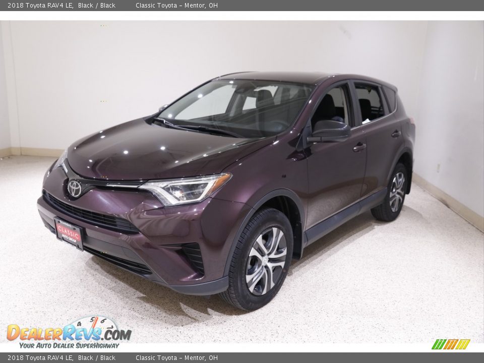 2018 Toyota RAV4 LE Black / Black Photo #3