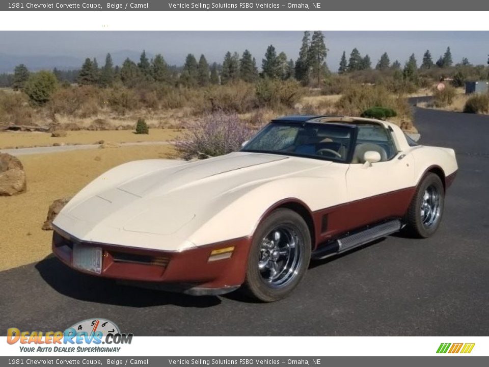 1981 Chevrolet Corvette Coupe Beige / Camel Photo #1