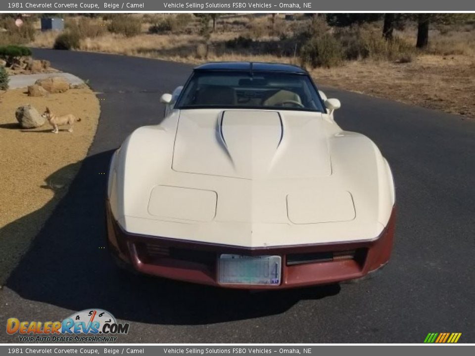 1981 Chevrolet Corvette Coupe Beige / Camel Photo #5