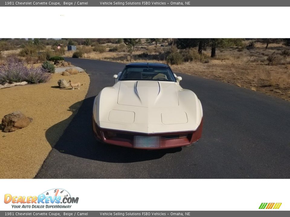 1981 Chevrolet Corvette Coupe Beige / Camel Photo #6