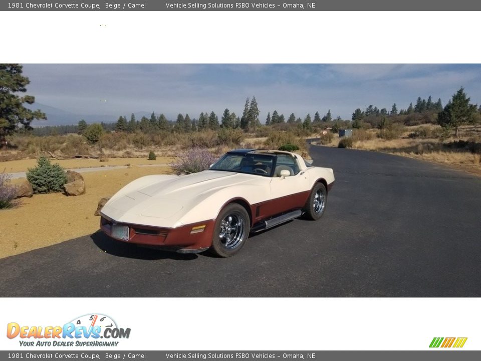 1981 Chevrolet Corvette Coupe Beige / Camel Photo #7