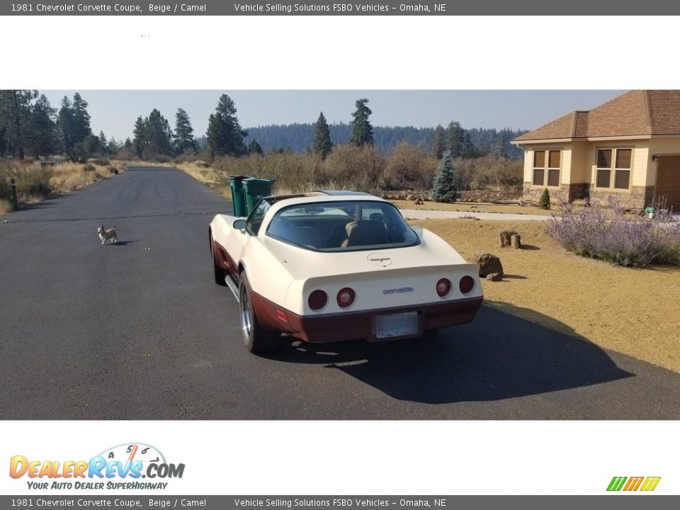 1981 Chevrolet Corvette Coupe Beige / Camel Photo #10