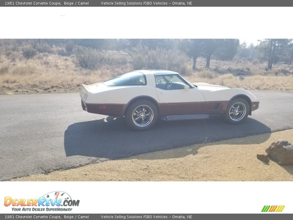 1981 Chevrolet Corvette Coupe Beige / Camel Photo #11