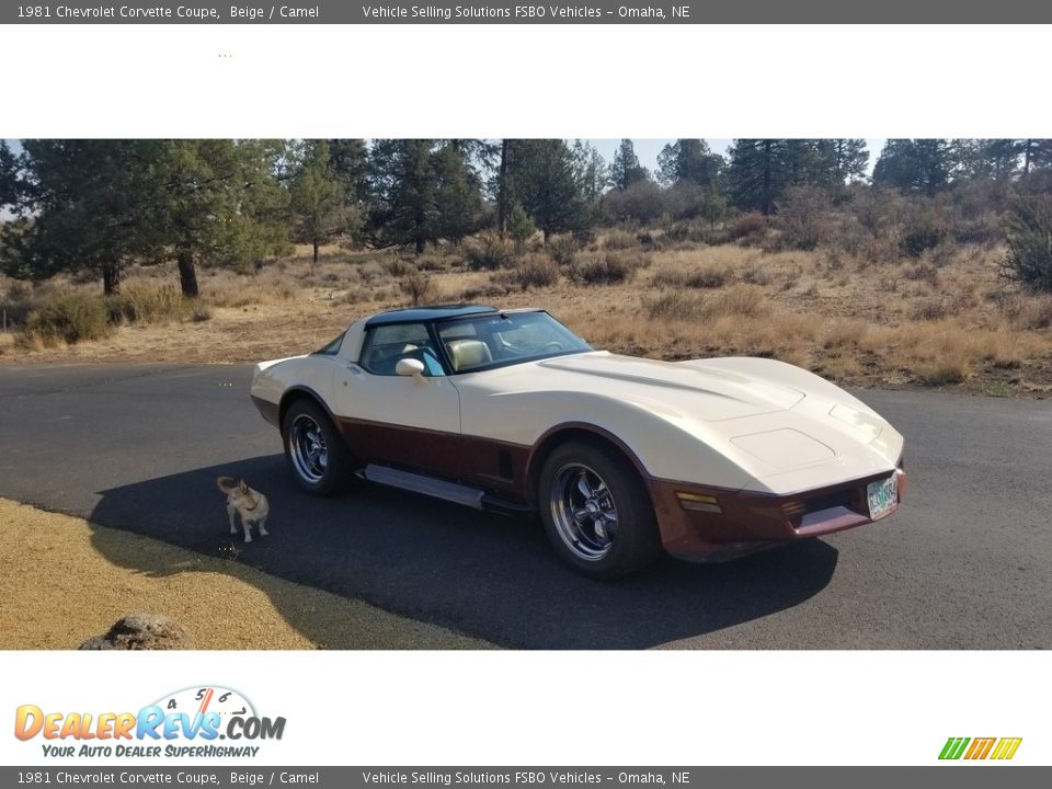 1981 Chevrolet Corvette Coupe Beige / Camel Photo #12