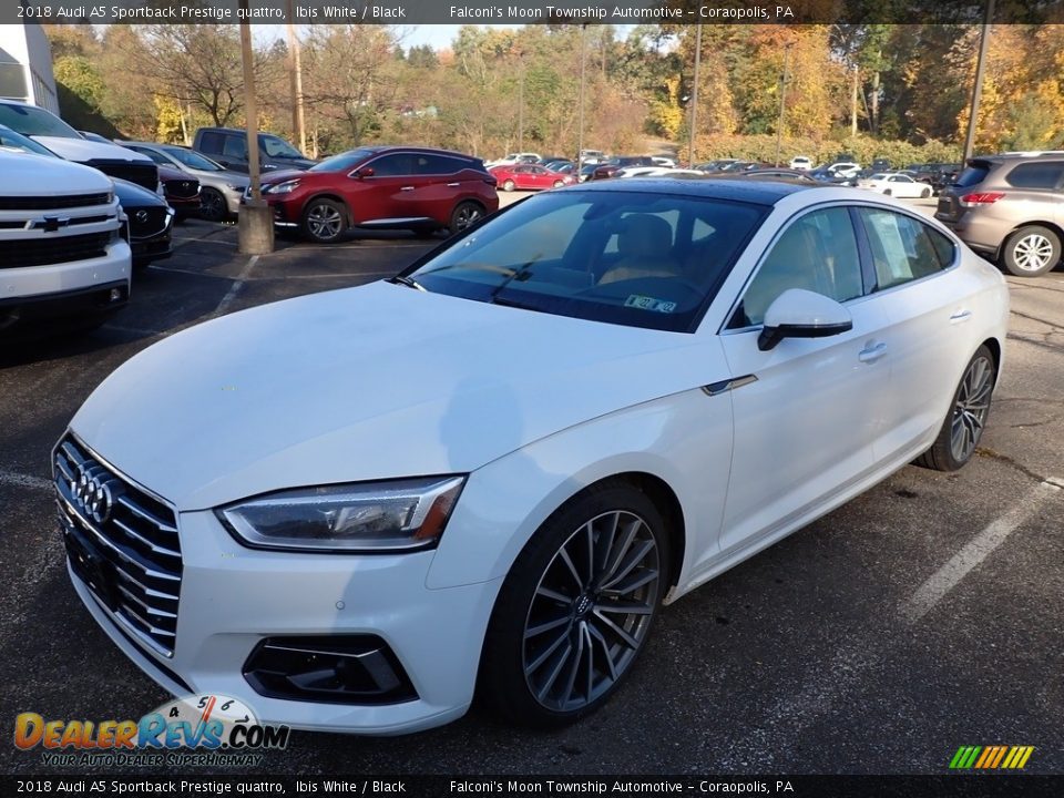 2018 Audi A5 Sportback Prestige quattro Ibis White / Black Photo #1