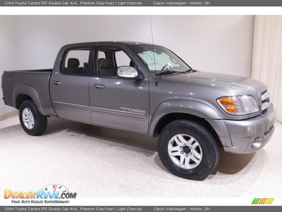 2004 Toyota Tundra SR5 Double Cab 4x4 Phantom Gray Pearl / Light Charcoal Photo #1