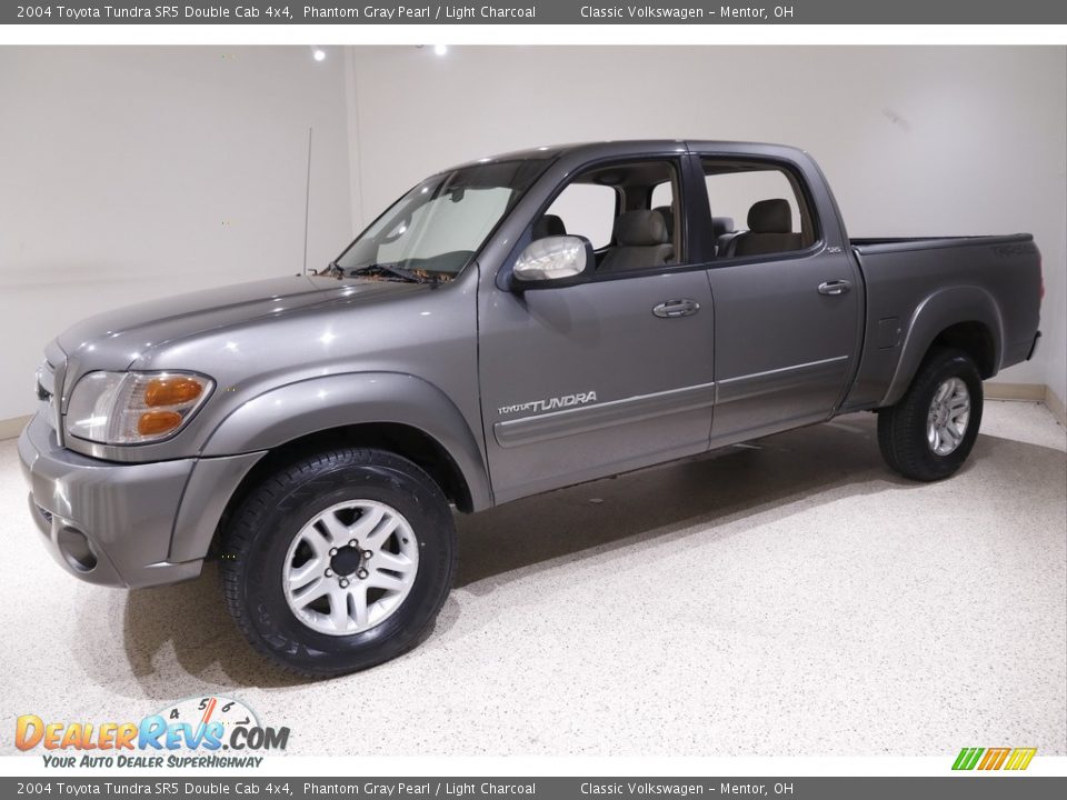 2004 Toyota Tundra SR5 Double Cab 4x4 Phantom Gray Pearl / Light Charcoal Photo #3
