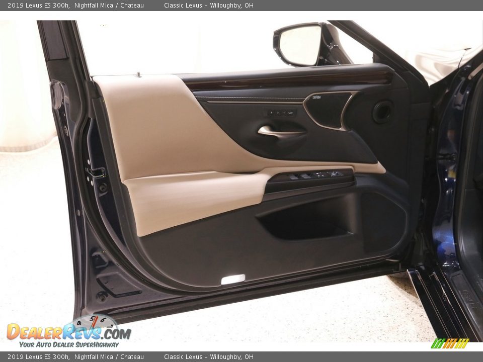 Door Panel of 2019 Lexus ES 300h Photo #4