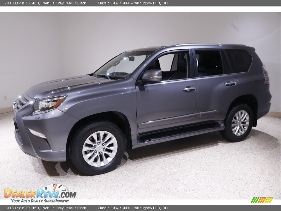 2018 Lexus GX 460 Nebula Gray Pearl / Black Photo #3