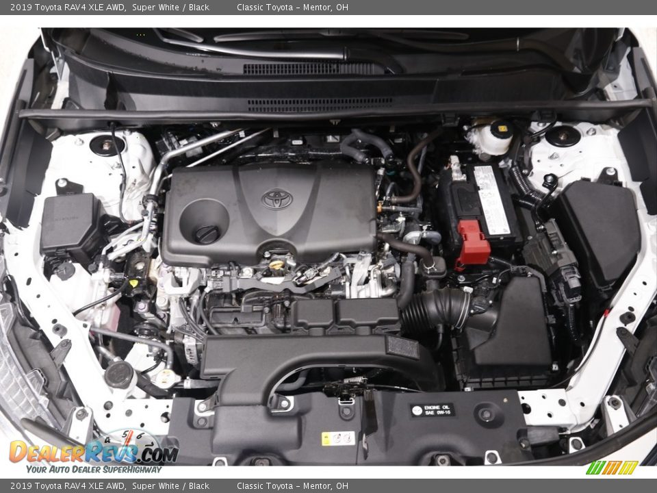 2019 Toyota RAV4 XLE AWD Super White / Black Photo #17