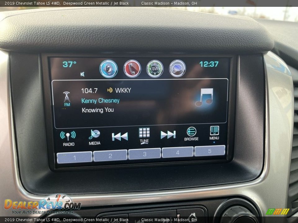 2019 Chevrolet Tahoe LS 4WD Deepwood Green Metallic / Jet Black Photo #6