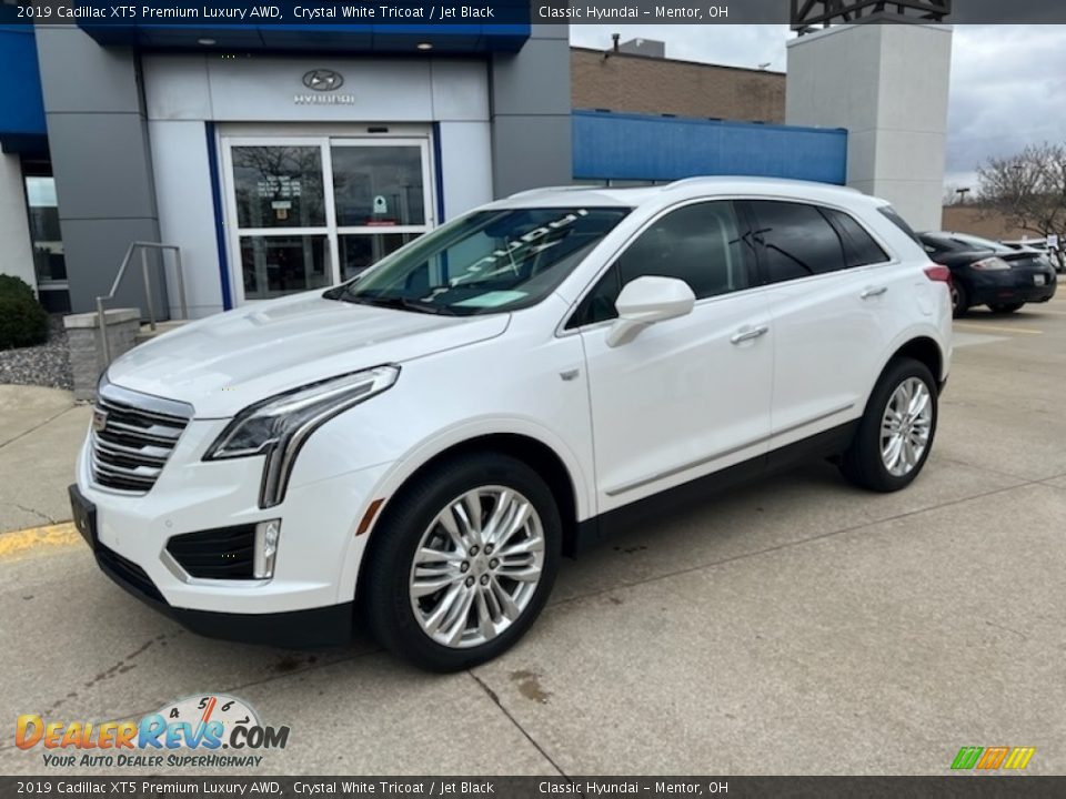2019 Cadillac XT5 Premium Luxury AWD Crystal White Tricoat / Jet Black Photo #1