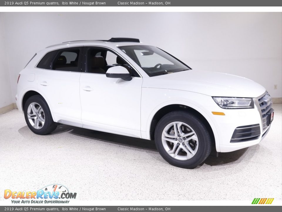2019 Audi Q5 Premium quattro Ibis White / Nougat Brown Photo #1