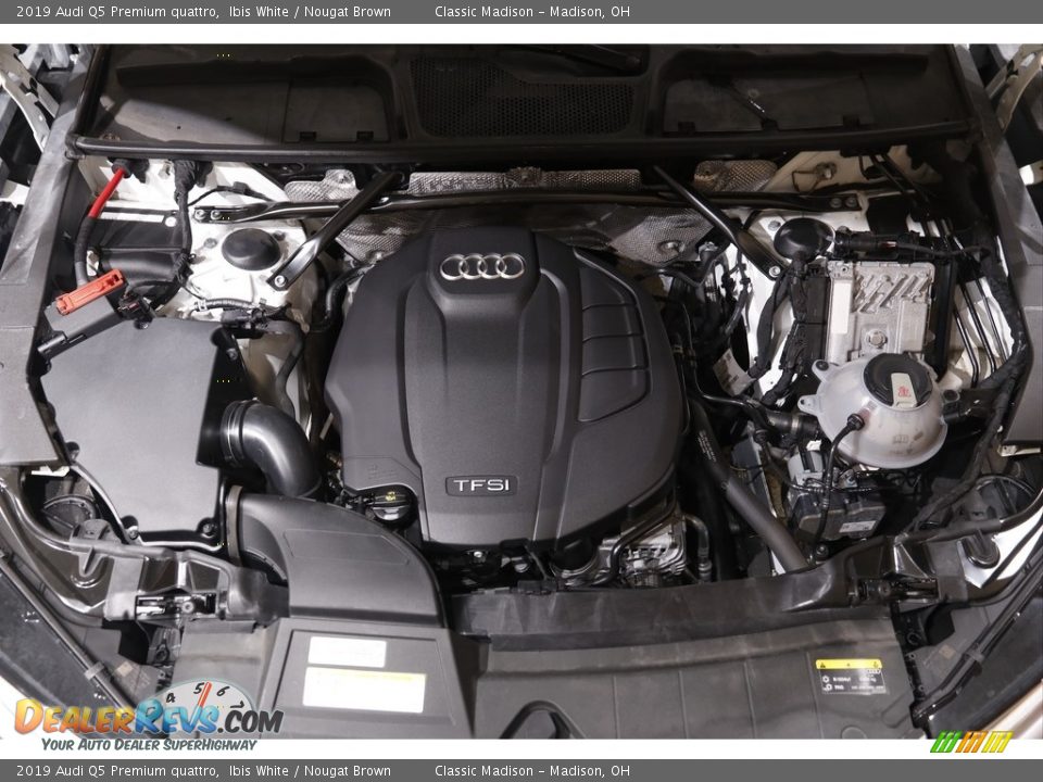 2019 Audi Q5 Premium quattro Ibis White / Nougat Brown Photo #19