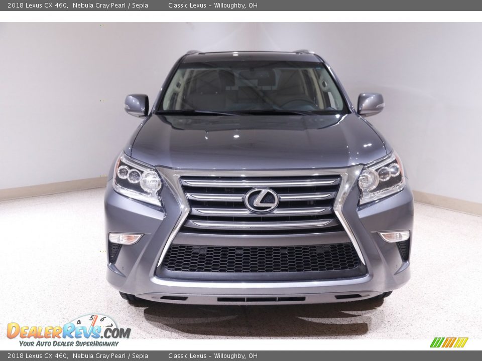 2018 Lexus GX 460 Nebula Gray Pearl / Sepia Photo #2