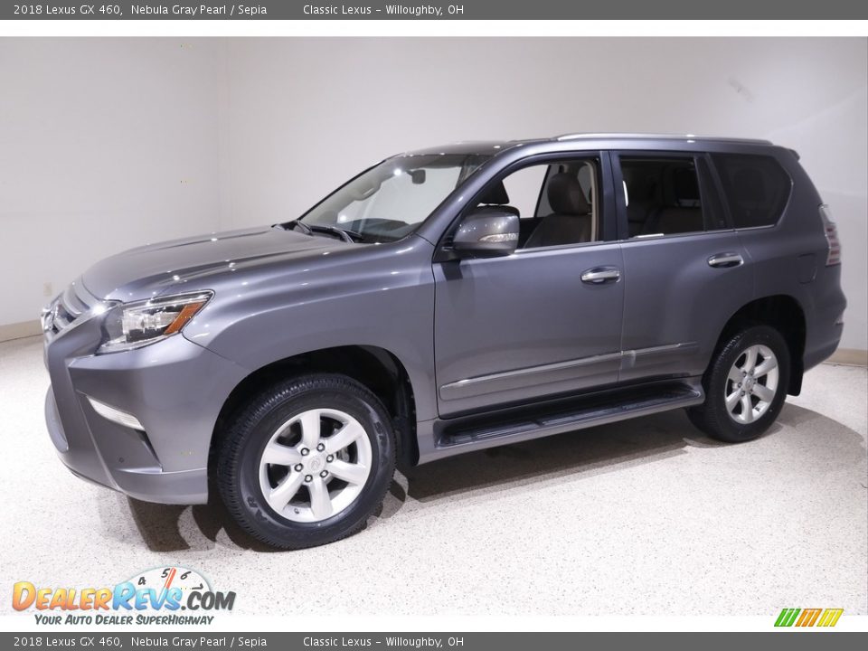 2018 Lexus GX 460 Nebula Gray Pearl / Sepia Photo #3