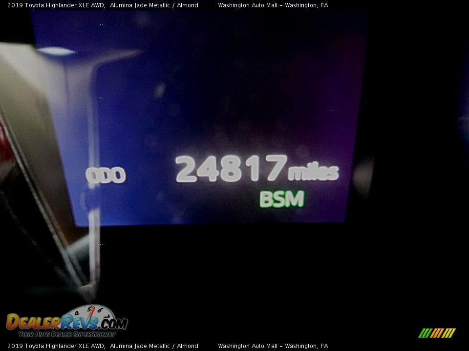 2019 Toyota Highlander XLE AWD Alumina Jade Metallic / Almond Photo #33
