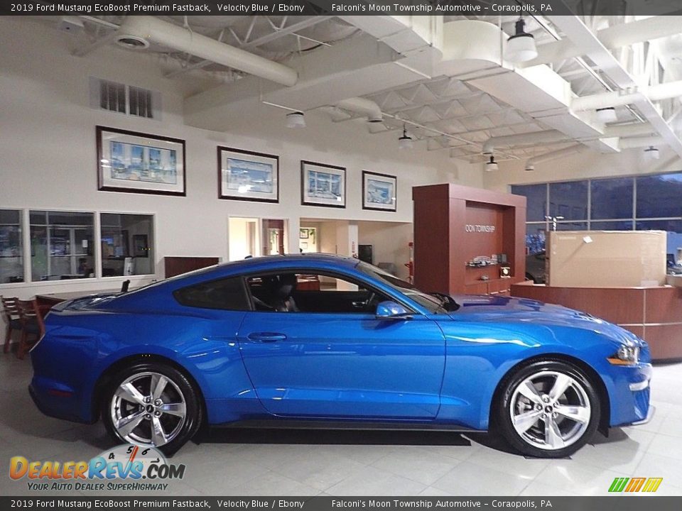 2019 Ford Mustang EcoBoost Premium Fastback Velocity Blue / Ebony Photo #1