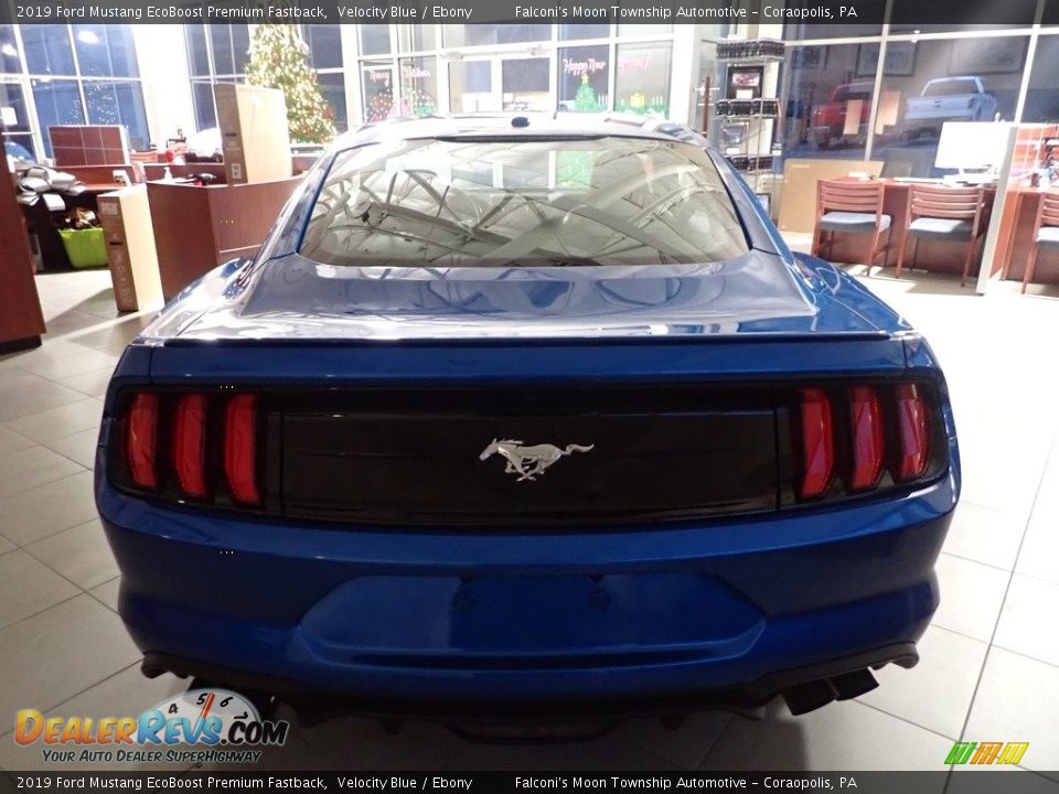 2019 Ford Mustang EcoBoost Premium Fastback Velocity Blue / Ebony Photo #3