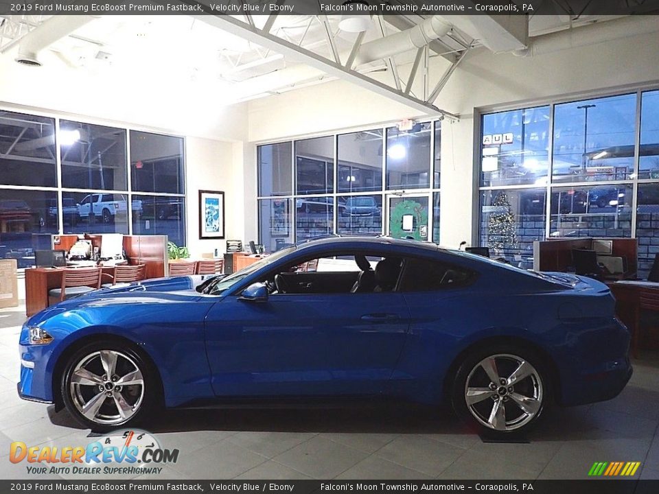 2019 Ford Mustang EcoBoost Premium Fastback Velocity Blue / Ebony Photo #5