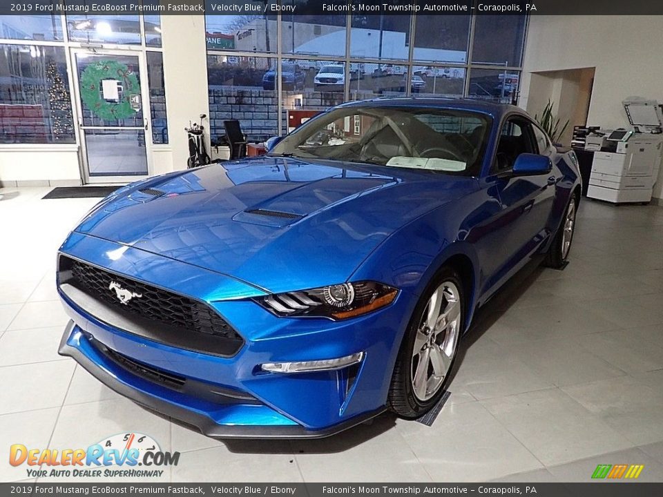 2019 Ford Mustang EcoBoost Premium Fastback Velocity Blue / Ebony Photo #6