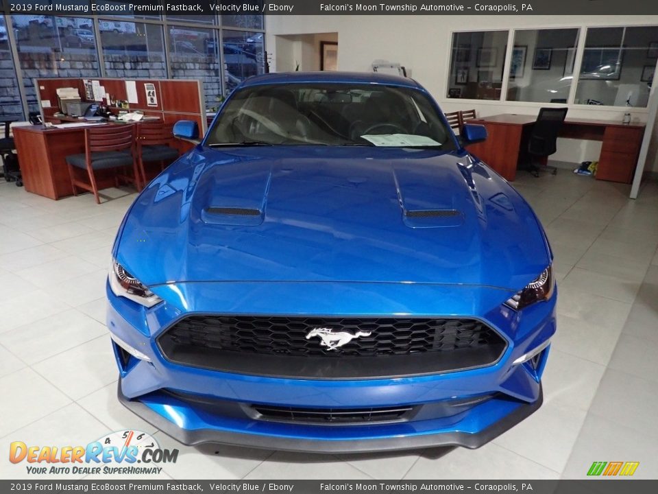 2019 Ford Mustang EcoBoost Premium Fastback Velocity Blue / Ebony Photo #7