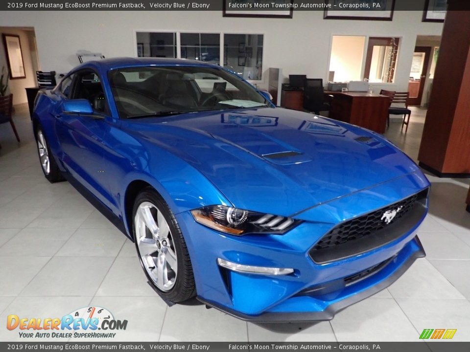 2019 Ford Mustang EcoBoost Premium Fastback Velocity Blue / Ebony Photo #8