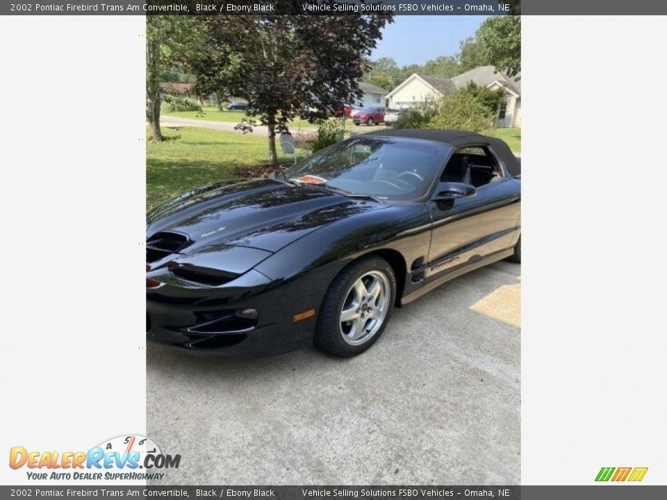 2002 Pontiac Firebird Trans Am Convertible Black / Ebony Black Photo #1