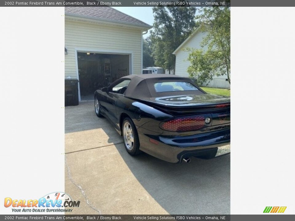 2002 Pontiac Firebird Trans Am Convertible Black / Ebony Black Photo #6