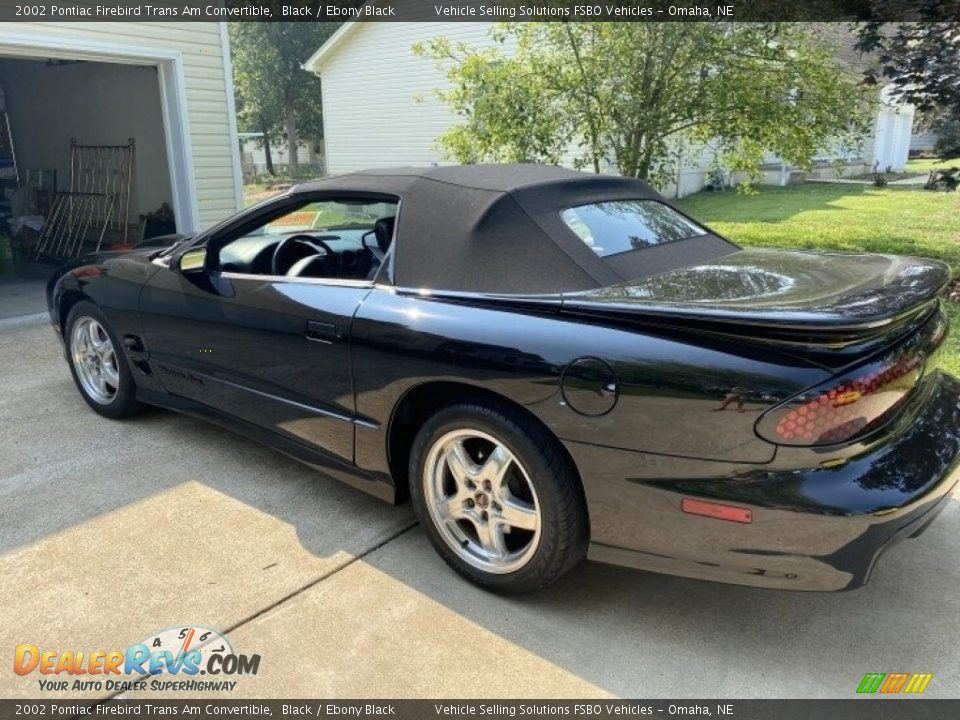 2002 Pontiac Firebird Trans Am Convertible Black / Ebony Black Photo #7