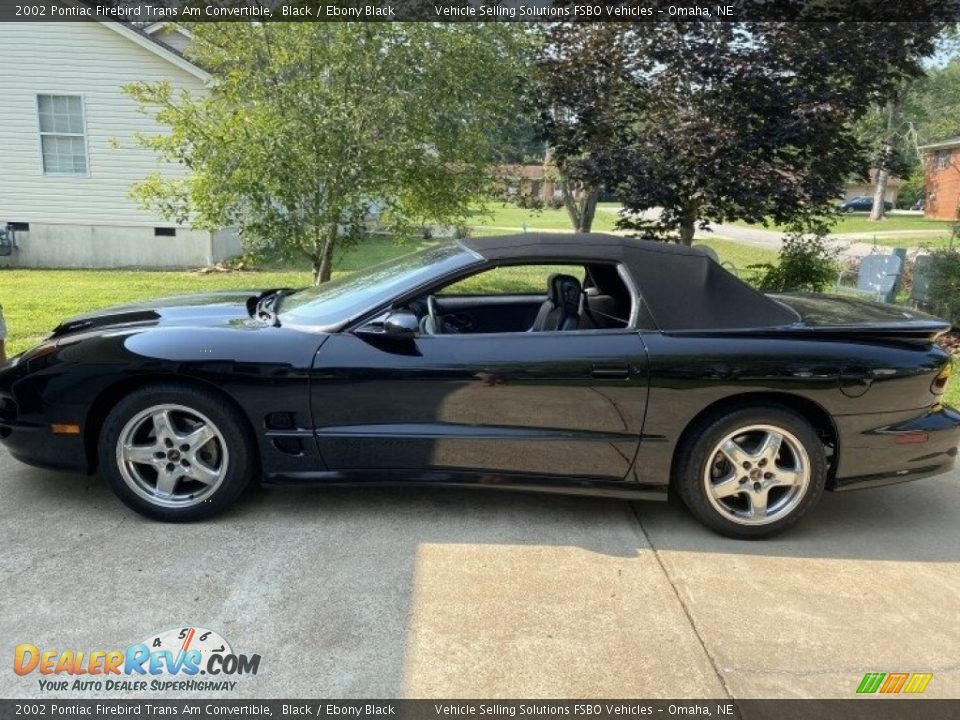 2002 Pontiac Firebird Trans Am Convertible Black / Ebony Black Photo #8