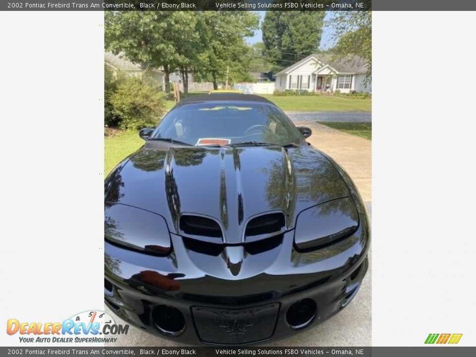 2002 Pontiac Firebird Trans Am Convertible Black / Ebony Black Photo #9