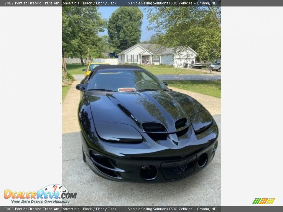 2002 Pontiac Firebird Trans Am Convertible Black / Ebony Black Photo #10