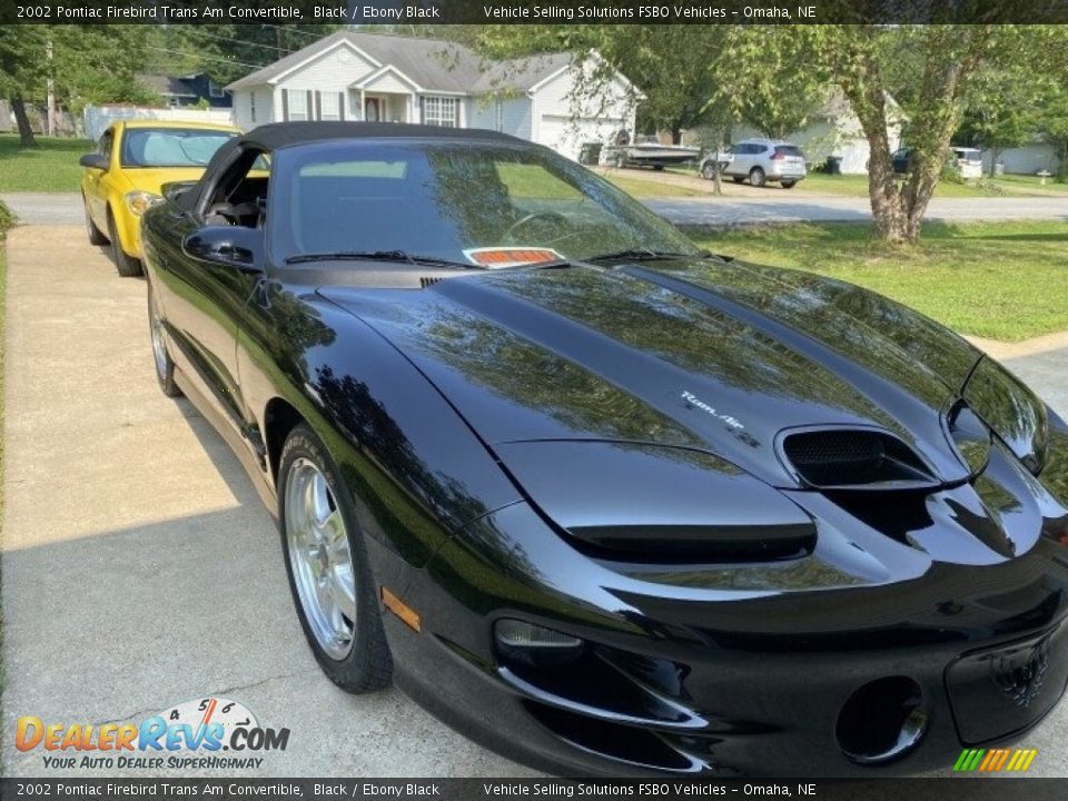 2002 Pontiac Firebird Trans Am Convertible Black / Ebony Black Photo #11