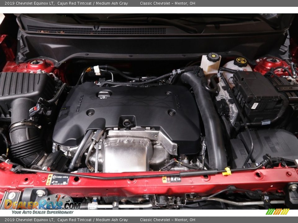 2019 Chevrolet Equinox LT Cajun Red Tintcoat / Medium Ash Gray Photo #18